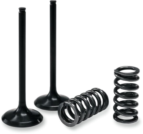 PROX INTAKE VALVE/SPRING KIT