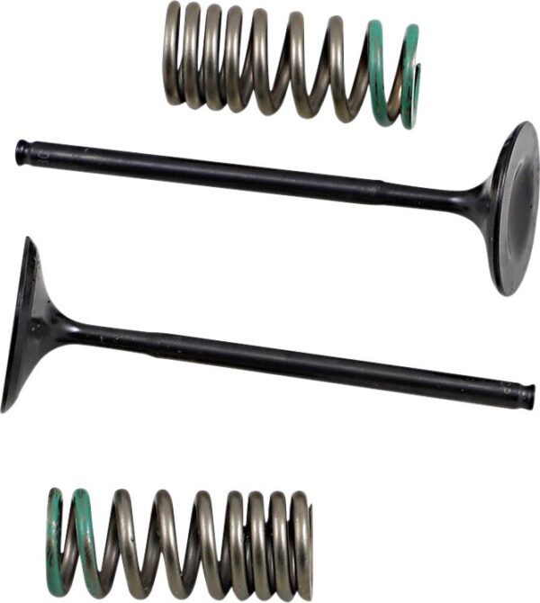 PROX INTAKE VALVE/SPRING KIT