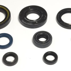 ATHENA ENGINE OIL SEALS KIT