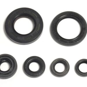 ATHENA ENGINE OIL SEALS KIT