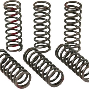 PRO CIRCUIT CLUTCH SPRINGS CRF450R