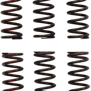 PRO CIRCUIT CLUTCH SPRING CRF450R